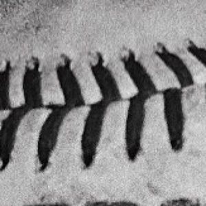 Meet your Posher, Jd